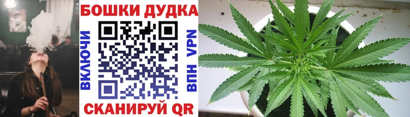 Купить закладки  Александровск-Сахалинский  Бошки марихуана индика 